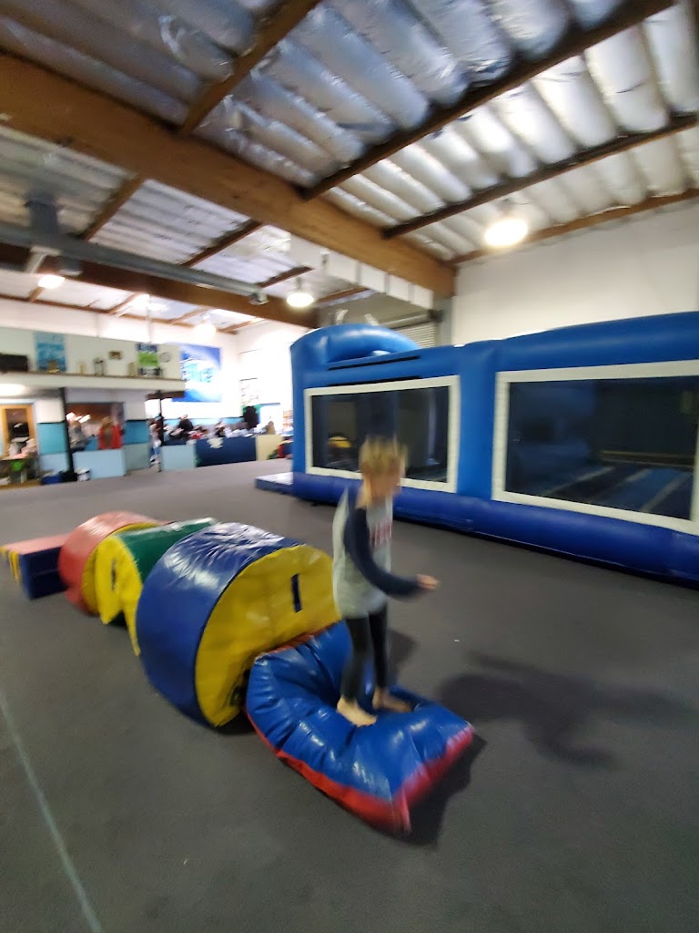  Santa Cruz Gymnastics