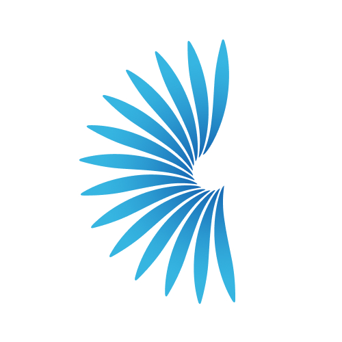  Pure Orthodontics Braces and Invisalign