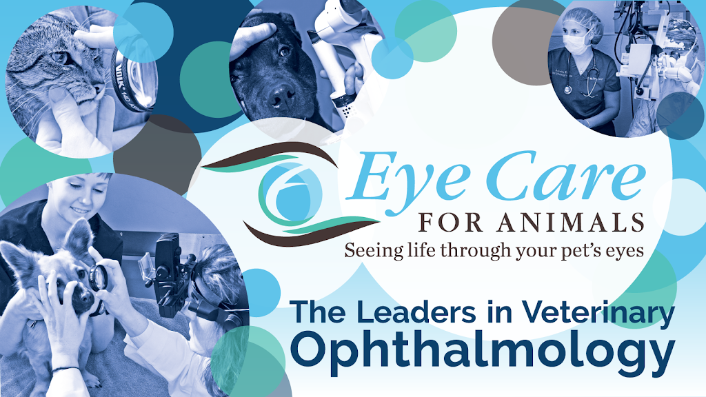  Eye Care for Animals - Las Vegas