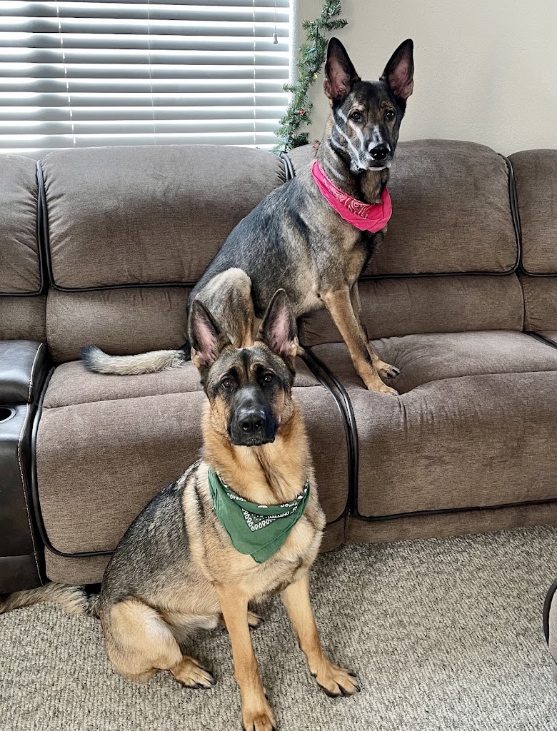  Boca Park Animal Hospital