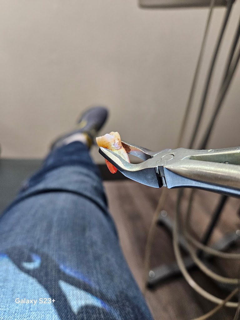 Absolute Dental - West Flamingo