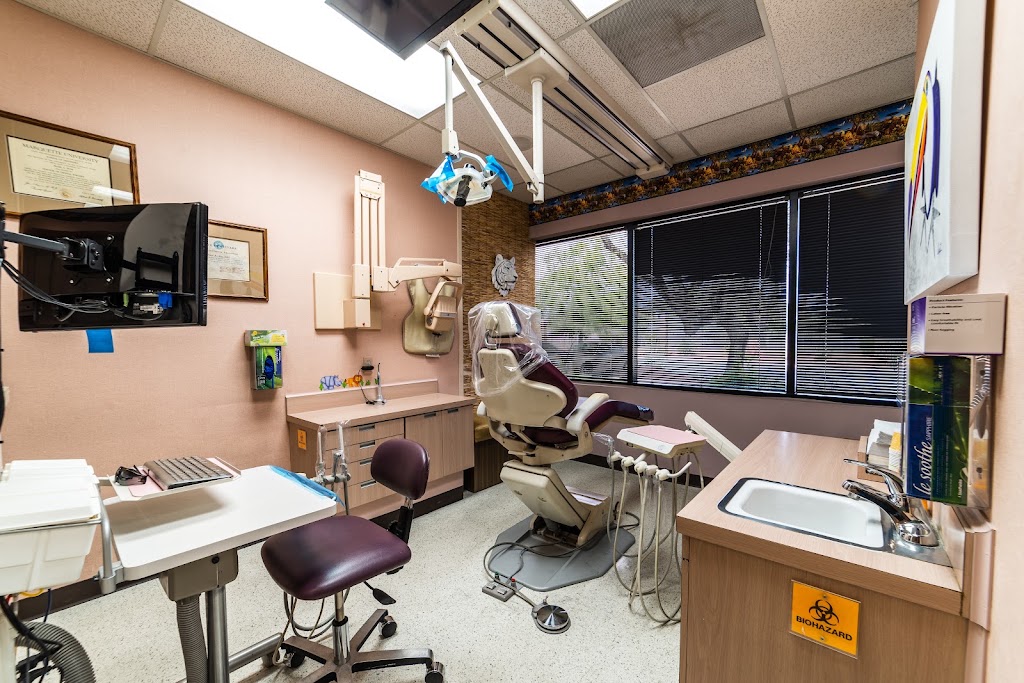  Kids' Dental Safari And Braces