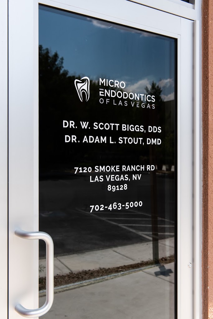  Micro Endodontics: W. Scott Biggs DDS