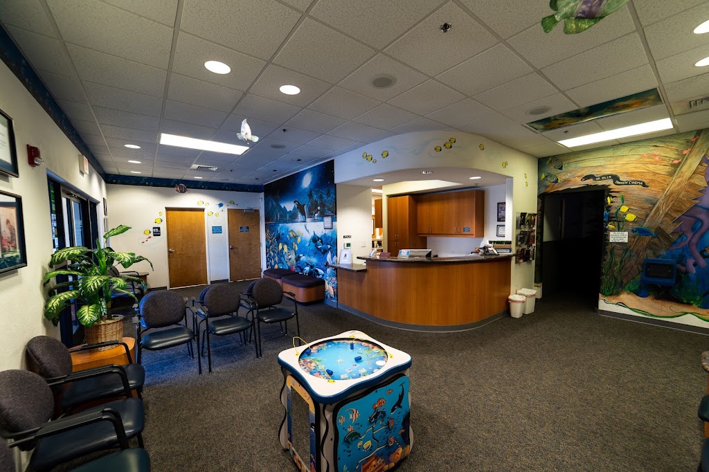 Jon P. Galea, DDS