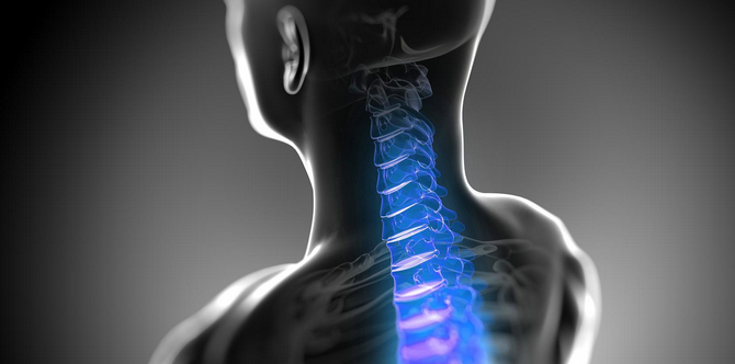  N.W. Chiropractic