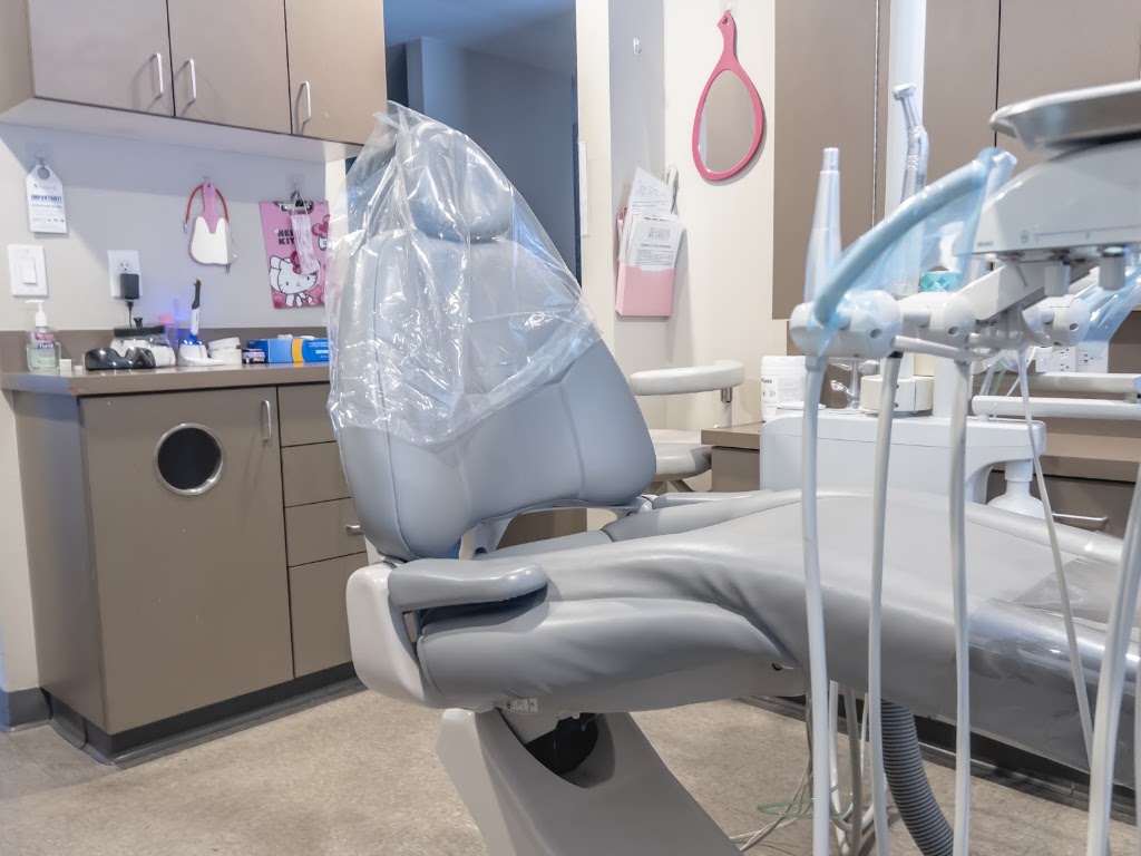  Dental Nation Inc.