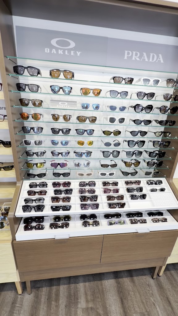  Pearle Vision