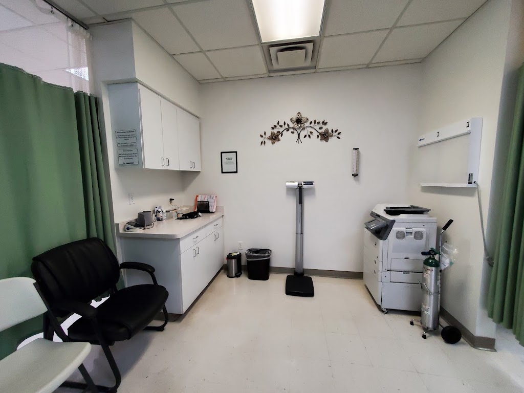 Olive Healthcare