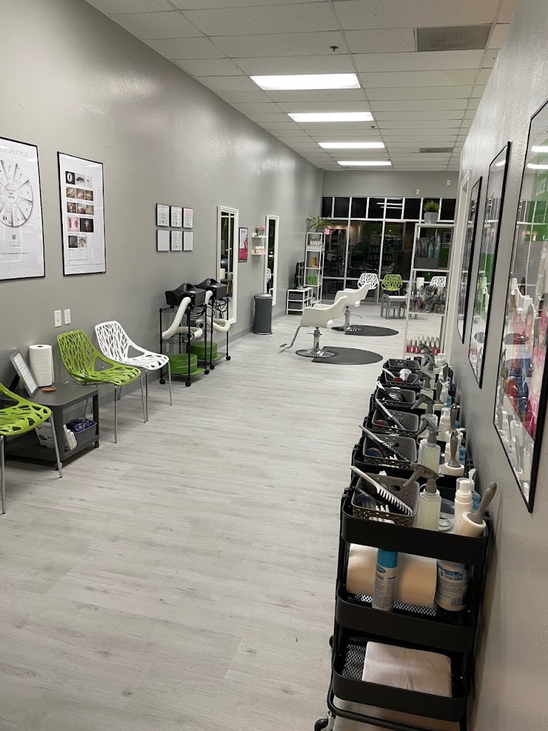  Lice Clinics of America - Las Vegas