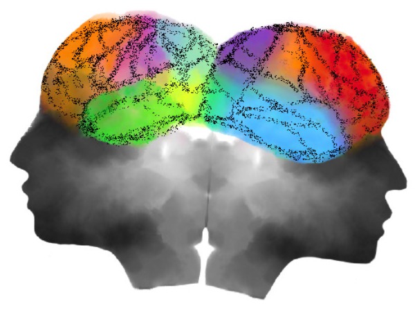  Henderson Neurology