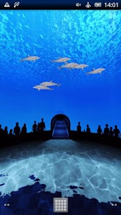 How to get Dolphins World lastet apk for android