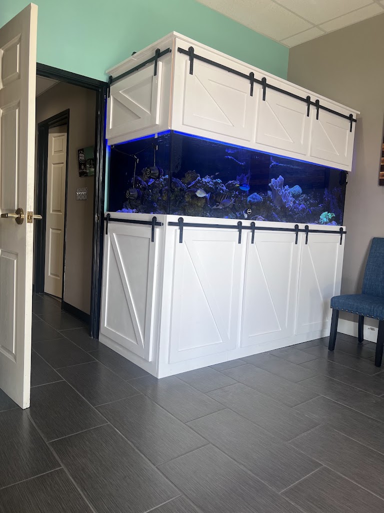 Dentistry for Families & Orthodontics