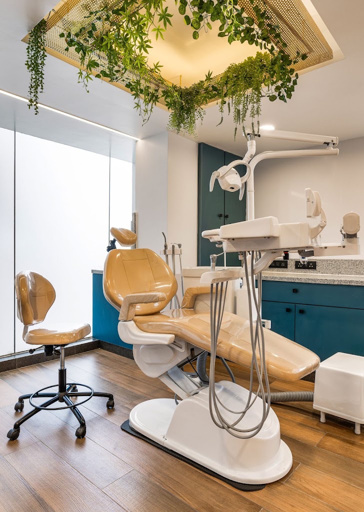 Eloise Dental Care