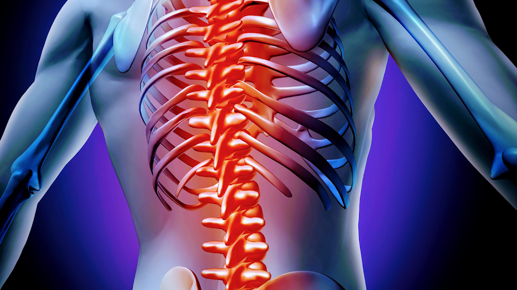 Spring Mountain Chiropractic Physicians