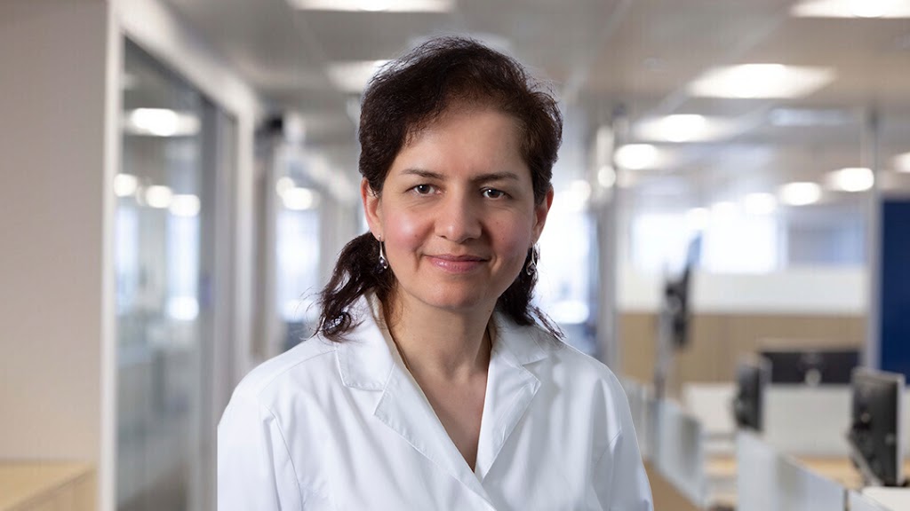 Armine Zakharian, MD