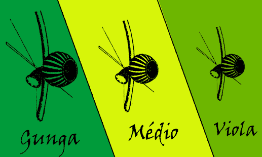 Capoeira Instruments Screen 2