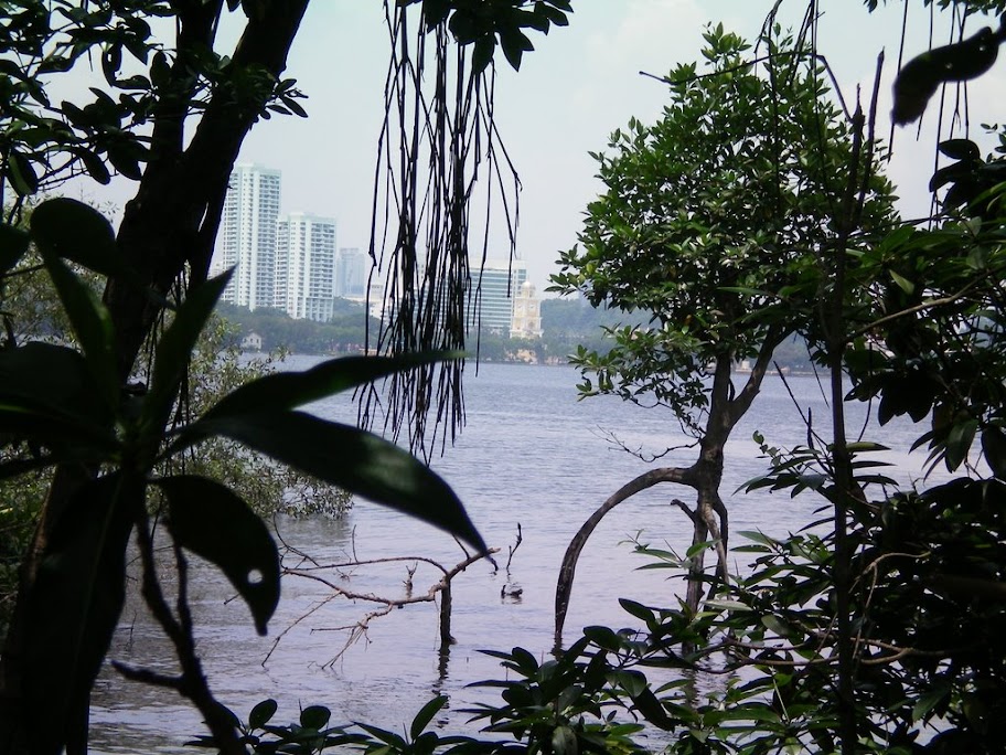 La Malaysie en fond de Réserve