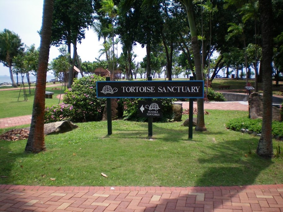 Sanctuaire à tortues de Kusu's Island