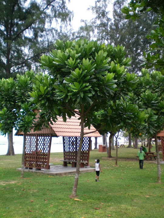 Maison-abri du bord de plage de kusu island