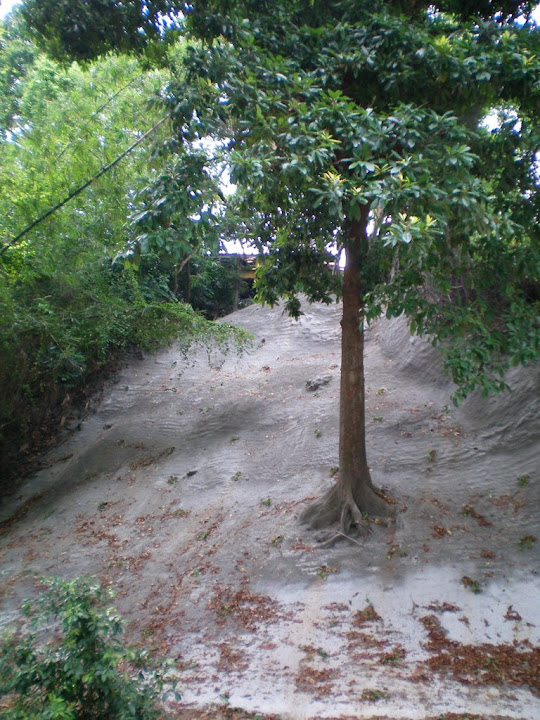 Soutien en béton pour le temple Malais de Kusu's Island