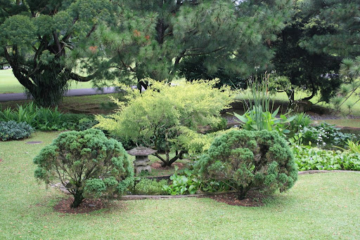Jardin Japonais