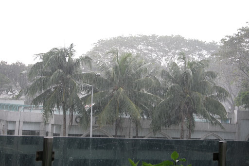 Photo de la pluie de l'orage 