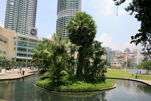 TTP vues du parc de l'esplanade