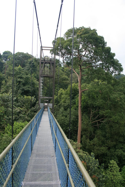 le TTW dans les arbres