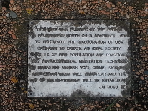 Ideal Society Plaque