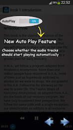 NA Basic Text Audio Book poster 2