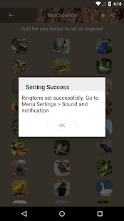 How to download Bird Sounds and Ringtones patch 1.2 apk for android