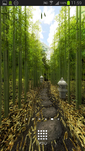 Bamboo Forest Lane Trial