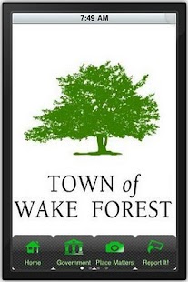 Town of WF Screenshots 0