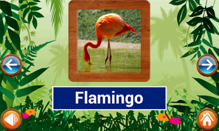 Animals and Birds by Intellisense poster 18