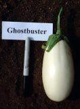 [eggplant_ghostbuster small[3].jpg]