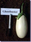 eggplant_ghostbuster small