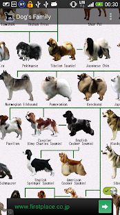 Dog Breeds(圖1)-速報App