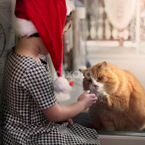 Highfive! by Sara Skog - Babies & Children Child Portraits