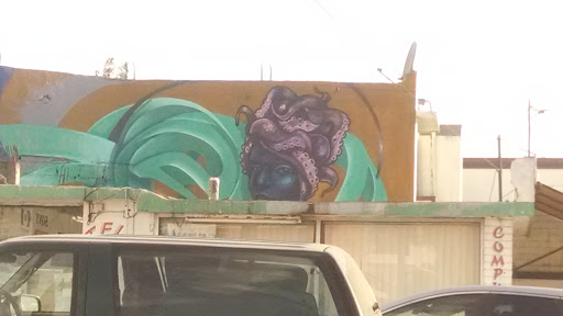 Octopus Hair Girl Mural 