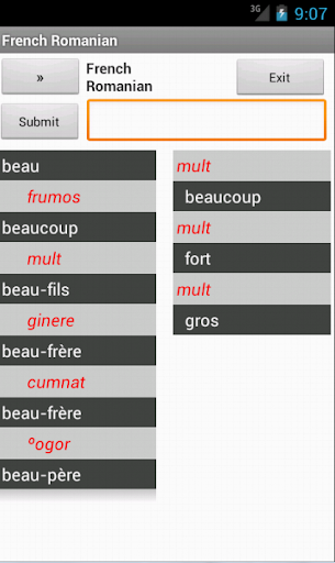 【免費書籍App】Romanian French Dictionary-APP點子