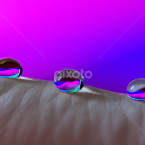 3 water drop  by Youssef Elboukhari - Abstract Water Drops & Splashes