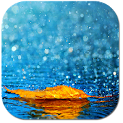 Rainy autumn 1.7 Icon