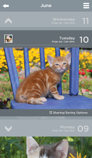 How to install DailyCal patch 2.2 apk for android