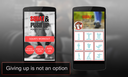 Squat Pushup Pocket Workout