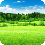 Relax Country - Nature sounds Apk