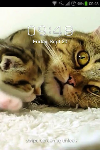 免費下載個人化APP|Kittens Live Wallpaper app開箱文|APP開箱王