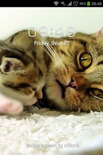 How to download Kittens Live Wallpaper lastet apk for laptop