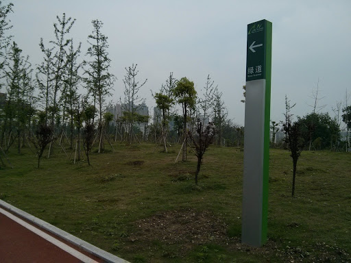 汉口滨江公园绿道