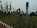 汉口滨江公园绿道