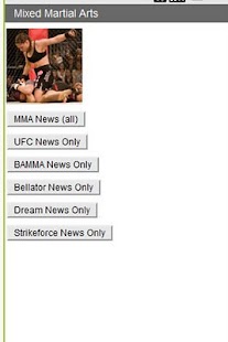 Download MMA Beatdown APK